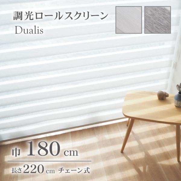 ロールカーテン　マナベインテリアハーツ マナベインテリアハーツ ロールスクリーン 幅90 丈220cm 採光 チェーン