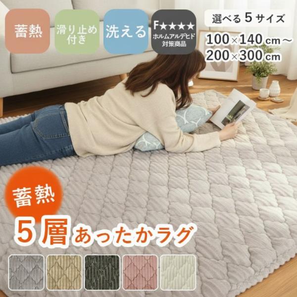 ラグ マット カーペット おしゃれ 洗える 3畳 2畳 1畳 1.5畳 4畳 100x140 130x190 190x190 200x240 200x300 防音 滑り止め 床暖房対応 蓄熱 厚手 5層 フェリス
