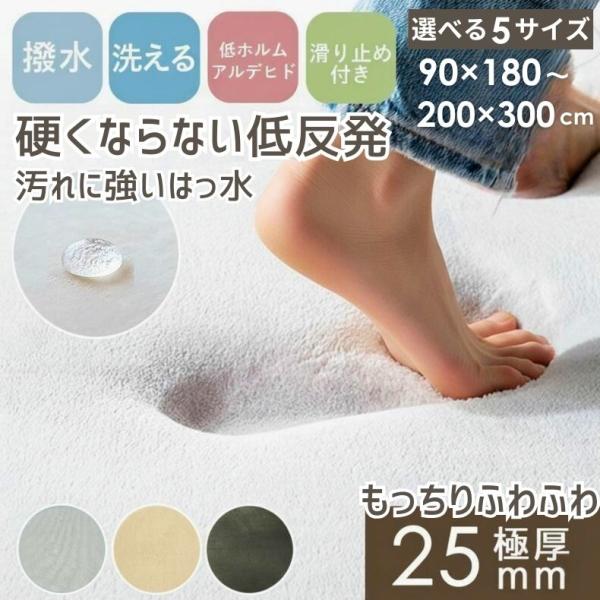 ラグ マット カーペット おしゃれ 3畳 2畳 1畳 1.5畳 4畳 洗える 撥水 低反発 高反発 厚手 極厚 滑り止め 床暖房対応 ホットカーペット対応 無地 25mm ロジャー