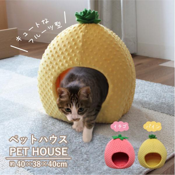 `FA NbV  CX ֎q  ybgnEX