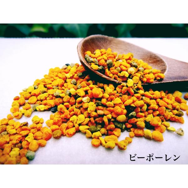 花粉症予防に ハワイ産 ビーポーレン 蜜蜂花粉 フレッシュ 100g 2月末日までの送料無料キャンペーン 美容と健康 栄養補助食品 マナハニー Buyee Buyee Japanese Proxy Service Buy From Japan Bot Online
