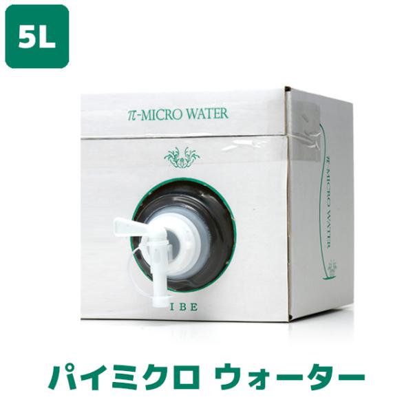 化粧水 IBE パイミクロ ウォーター 5リットル 全身用 パイウォーター