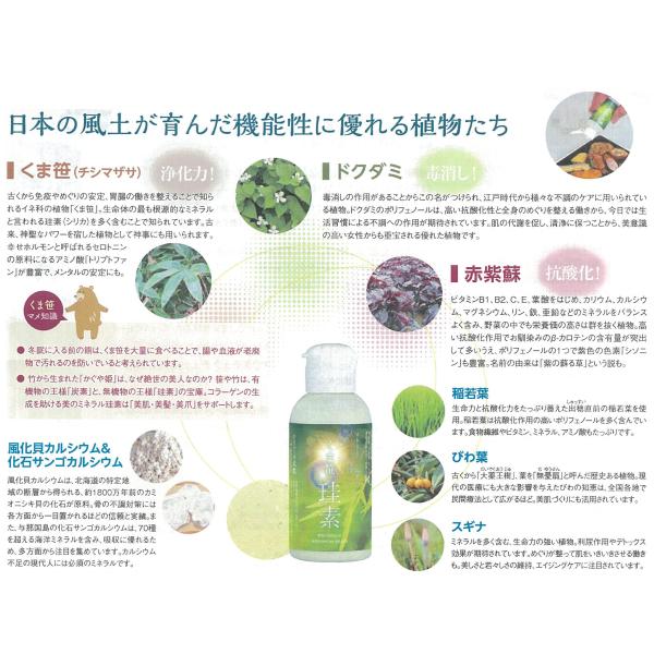 カムナプロダクツ くま笹珪素 35g デトックス 抗酸化 腸内健康 Kp Ks 35n Manaigroup 通販 Yahoo ショッピング
