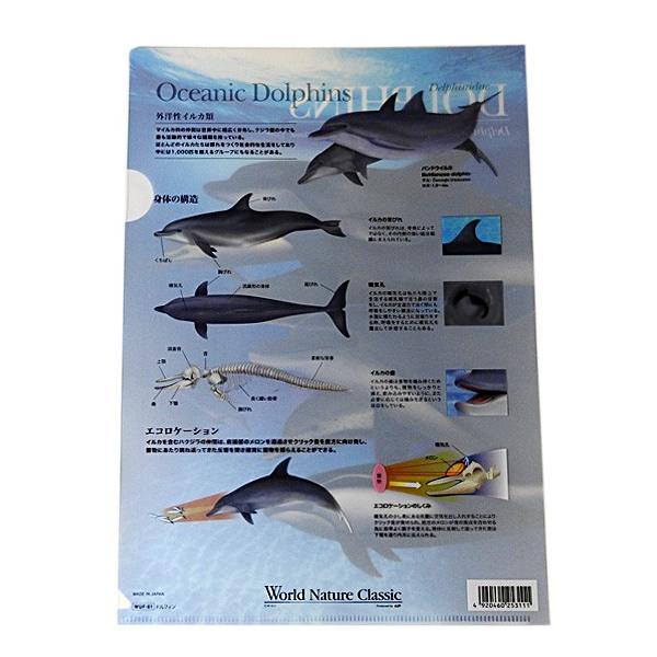 クリアファイル イルカグッズ World Nature Classic クリアホルダー ドルフィン ゆうパケット発送可 Buyee Buyee 日本の通販商品 オークションの代理入札 代理購入