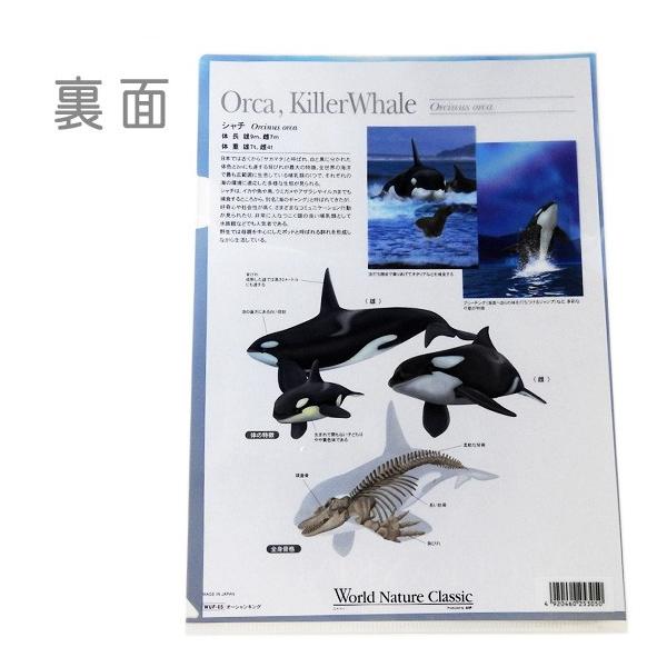 クリアファイル シャチ グッズ 雑貨 文房具 World Nature Classic クリアホルダー オルカ ゆうパケット発送可 まんぼう屋ドットコム Buyee Servicio De Proxy Japones Buyee Compra En Japon