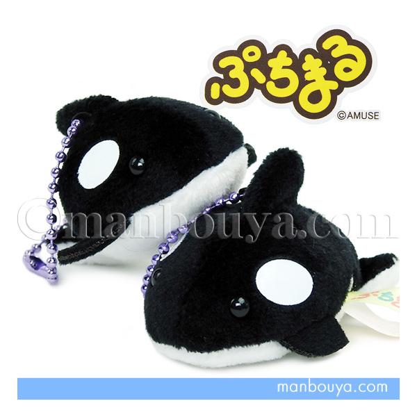 Fiesta シャチぬいぐるみ 忠犬もちしばお正月BIGぬいぐるみ プライズの情報サイト キャラ