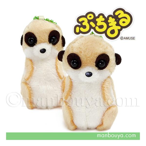 ミーキャット様 manbouya_am-704515