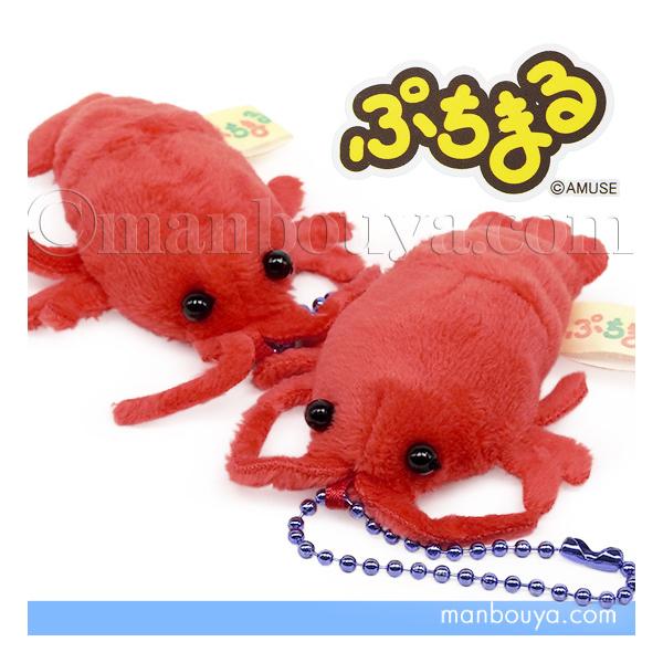 エビぬいぐるみ エビ ぬいぐるみ 海の生き物 水族館グッズ アミューズ AMUFUN ぷちまる