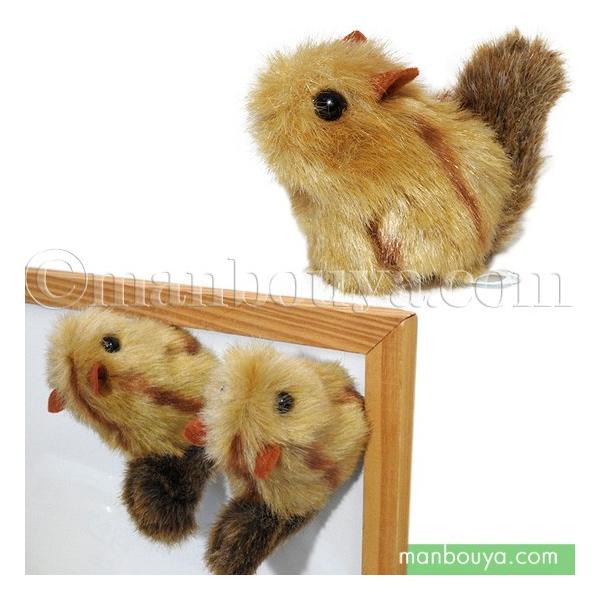 X ʂ  AQUA lC`[}Olbg V}X  6.5cm