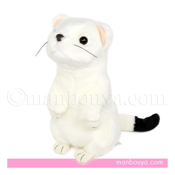 オコジョ ぬいぐるみ 白 動物 AQUA M 21cm : まんぼう屋ドットコム