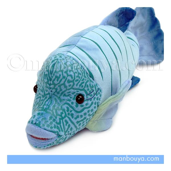 ナポレオンフィッシュ ぬいぐるみ 魚 水族館グッズ A-SHOW 栄商