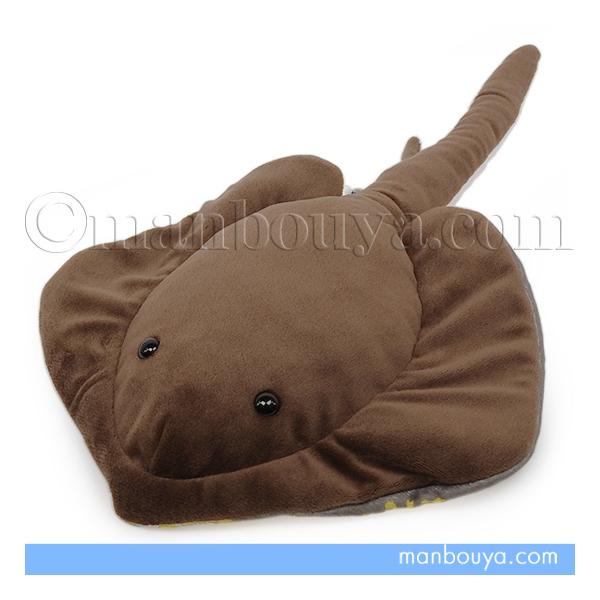 アカエイのぬいぐるみ。大型のエイで尾に猛毒のある棘を持っています。水族館お土産で有名な栄商さんの「わくわく図鑑」シリーズ。アカエイの特徴であるヒレのフチの黄色もプリントされてます。きょとんとした表情がかわいいぬいぐるみです。【サイズ】約全長...