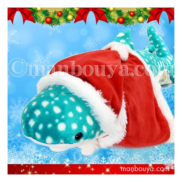 NX}Xv[g ʂ WxGU A-SHOW h WxCU LTCY 55cm T^ߑ