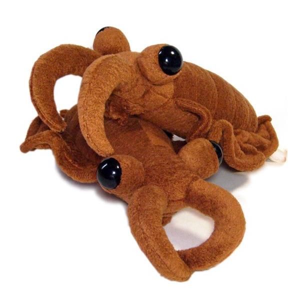 古代生物 古代魚 アノマロカリスのぬいぐるみ A Show 栄商 アノマロカリスmサイズ 25cm まんぼう屋ドットコム Buyee Buyee 提供一站式最全面最專業現地yahoo Japan拍賣代bid代拍代購服務 Bot Online