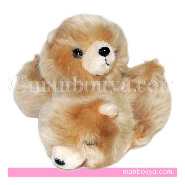 ̂ʂ |jAObY G A-SHOW h Little Bean gr[Y |jAuE 12cm [֔