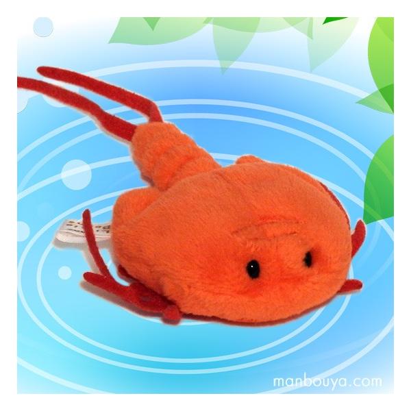 JugGr̂ʂ ObY G A-SHOWihj Little Beansigr[Yj CV 9cm@܂ڂhbgR