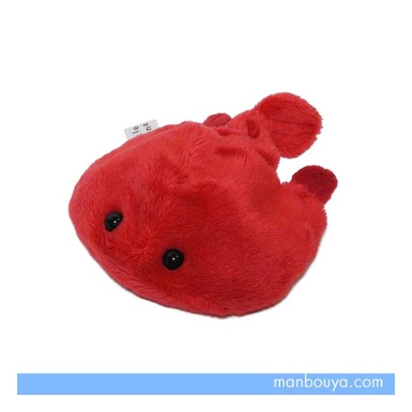 �[�C�� �A���R�E�̂ʂ������ A-SHOW Little Beans�i���g���r�[���Y�j �������� 8cm�@���[���֔�����