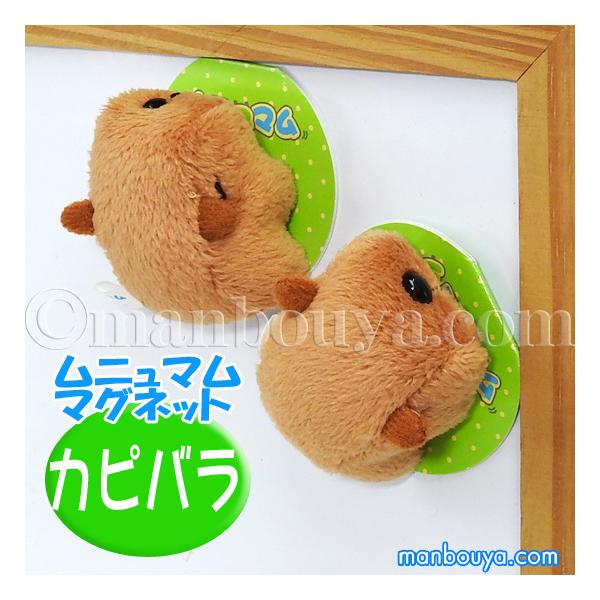 Jso ʂ  A-SHOW h j} }Olbg ҂΂ 4.5c [֔