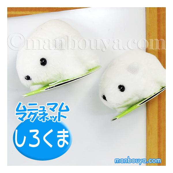 VN} ʂ  A-SHOW h j} }Olbg  4.7c [֔