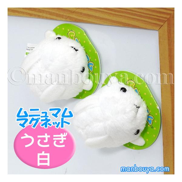  ʂ  A-SHOW h j} }Olbg ETMzCg 4.5c [֔