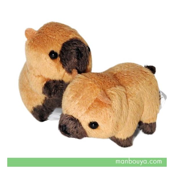 動物 ヤブイヌ ぬいぐるみ ブッシュドッグ 動物園 A Show ムニュマムお手玉 やぶいぬ 6cm ゆうパケット発送可 Buyee Buyee 日本の通販商品 オークションの代理入札 代理購入