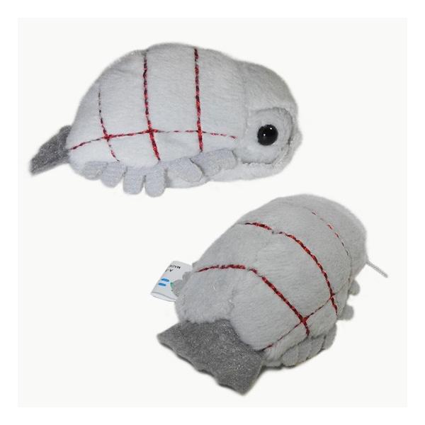 ダイオウグソクムシ ぬいぐるみ 深海生物 グッズ A Show 栄商 ムニュマムお手玉 ダイオウ グソクムシ 6cm ゆうパケット送料166円発送可 Buyee Buyee Japanischer Proxy Service Kaufen Sie Aus Japan