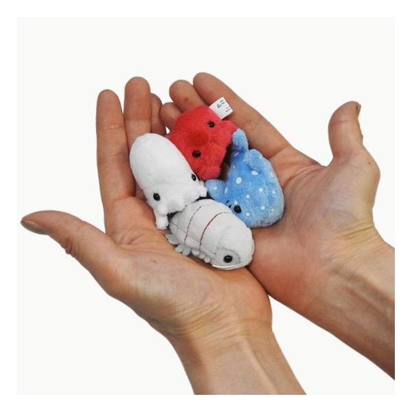 ダイオウグソクムシ ぬいぐるみ 深海生物 グッズ A Show 栄商 ムニュマムお手玉 ダイオウ グソクムシ 6cm ゆうパケット送料166円発送可 Buyee Buyee Japanese Proxy Service Buy From Japan Bot Online
