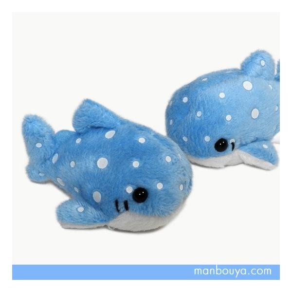 WxGU ʂ كObY A-SHOWihj j} WxCU 6cm 1@[֔