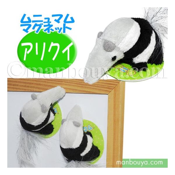 ANC ʂ  A-SHOW h j} }Olbg 肭 6c [֔