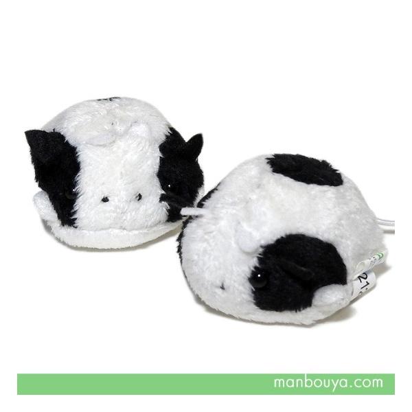   ʂ ObY ~j  A-SHOW j} EV ubN 4cm 1 [֔