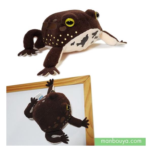 モチコとおおきなアメフクラカエル　ぬいぐるみ 3点セット モチコとおおきなアメフクラカエル ぬいぐるみ ミント - メルカリ