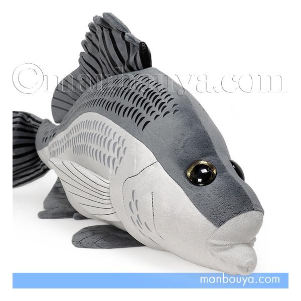 リアル 魚 ぬいぐるみ 黒鯛 チヌ 海の生き物 A-SHOW 栄商 釣り人シリーズ 49cm