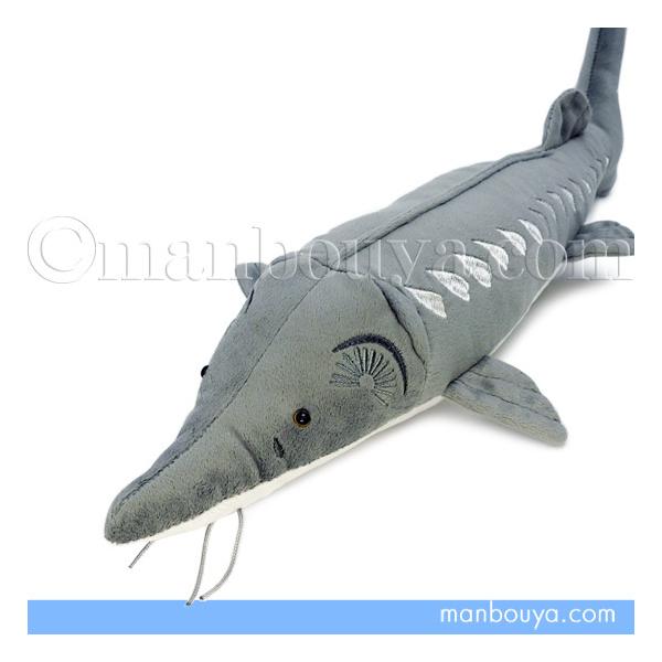 `EU ʂ Ñ㋛ A-SHOW h 킭킭} LrAtBbV 40cm