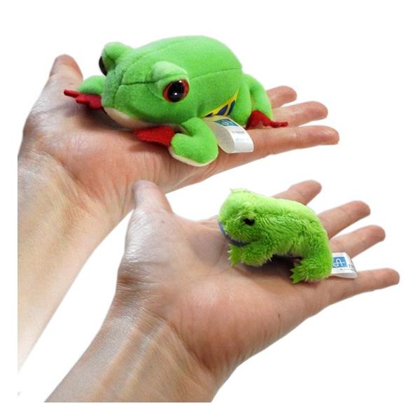 10%OFF カエル ぬいぐるみ グッズ 雑貨 A-SHOW マグネット入りマスコットちびだま蛙セット まんぼう屋ドットコム /【Buyee】 10%OFF カエル ぬいぐるみ グッズ 雑貨 A-SHOW マグネット入りマスコットちびだま蛙セット まんぼう屋ドットコム /【Buyee】