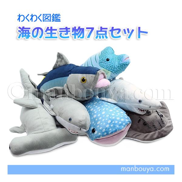 スーパー激レア 海きらら 特賞 サメ ぬいぐるみ くじ 水族館 海