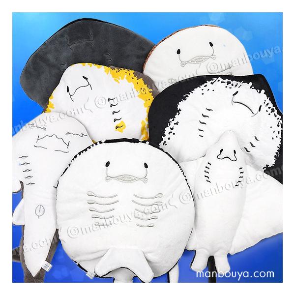 10%OFF エイ ぬいぐるみ 水族館 お土産 A-SHOW わくわく図鑑 エイの