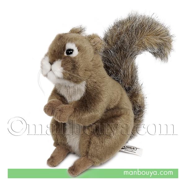リス ぬいぐるみ ハンサ HANSA アカリス 20 リアル 16cm : まんぼう屋