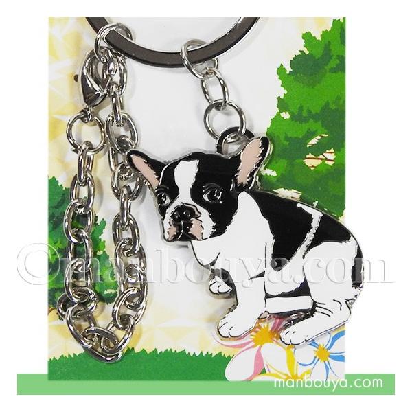  L[z_[   Ȃ Aj} tY L[O t`uhbO [֔