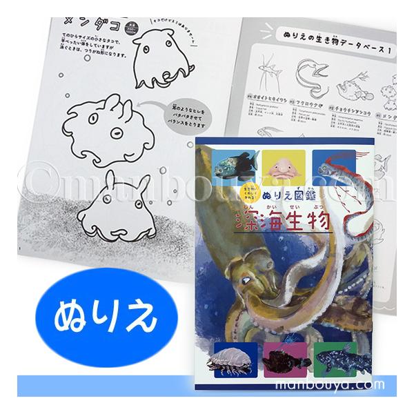 海の生物がいっぱいの楽しいぬり絵。深海のおさかなをピックアップ。それぞれの生態や特徴の説明が入った図鑑タイプです。海洋生物の中でも特に深海は変わった生き物が多く、興味深い1冊です。こども向けの商品だと思うのですが、振り仮名はついているものの...