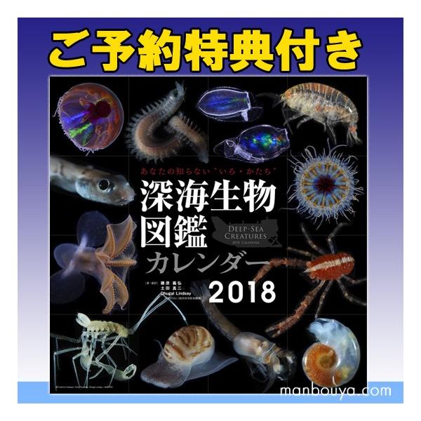 ご予約特典付き 深海生物図鑑カレンダー18年版 深海魚 グッズ インテリア 雑貨 まんぼう屋ドットコム ゆうパケット発送可 Buyee Buyee Jasa Perwakilan Pembelian Barang Online Di Jepang
