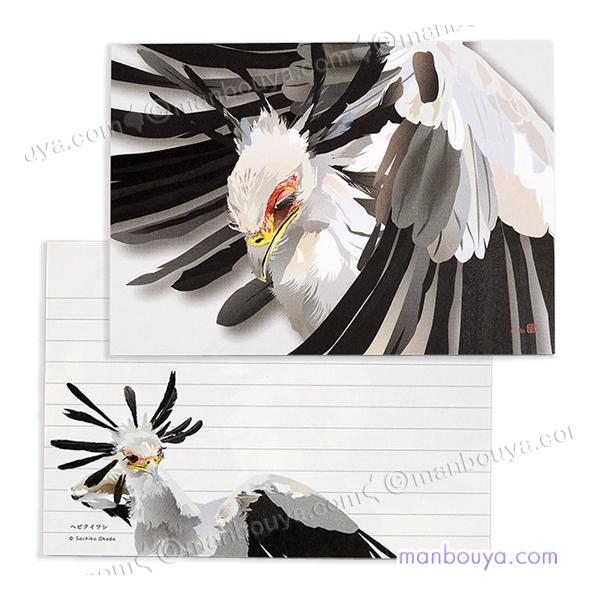 アフリカに生息する鳥、ヘビクイワシデザインのメモ帳。火の鳥のモデルになったのではないかと言われる大型の鳥。名前のとおり蛇などを食べる猛禽類です。頭の冠羽や長いまつ毛、大きく羽を広げている姿が、印象的で素敵なデザインです。クリエイティブモーシ...