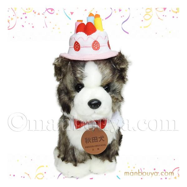 Hc ʂ ANZT[ Zbg L[g̔ CUTE  M Ֆ 23cm nbs[P[LXq