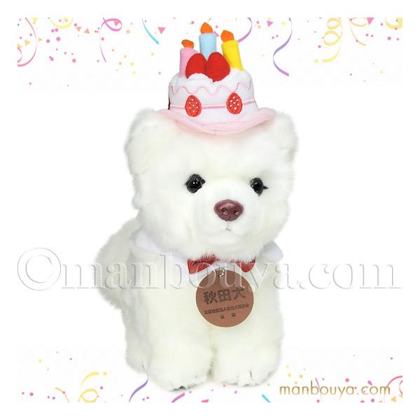 Hc ʂ ANZT[ Zbg L[g̔ CUTE  M zCg sN@ 23cm nbs[P[LXq