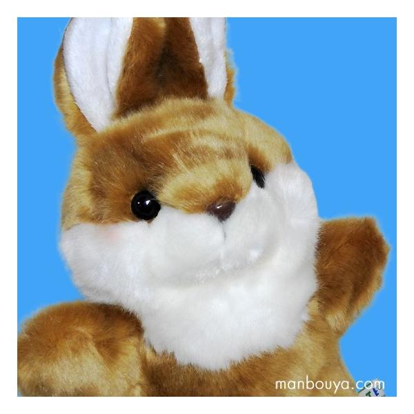 ʂ  nhpybg L[g̔ CUTE pybgRNV ETM uE