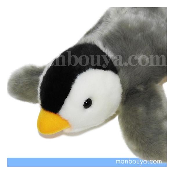 yM̂ʂ L[g̔ CUTE marine collection xr[yM LTCY 45cm ܂ڂhbgR