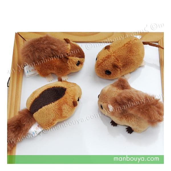 ぬいぐるみ リス ネズミ マグネット キュート販売 CUTE 齧歯目 4種 メール便発送可