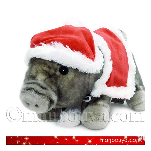 manbouya_cu-o0066xmas