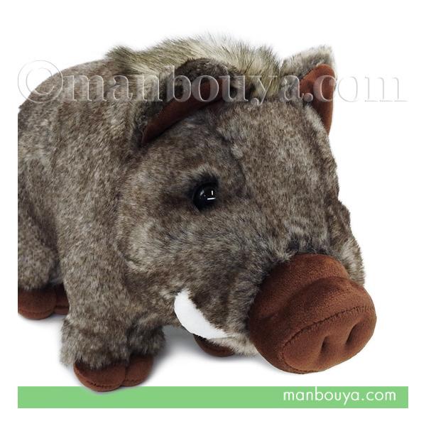 CmVV ʂ e ̂ ObY u  L[g̔ CUTE  M 30cm