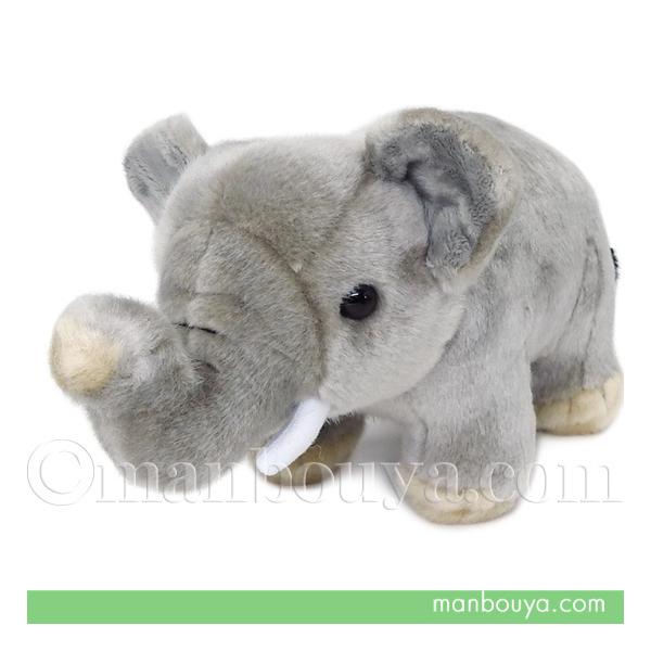 ]E ʂ   yY L[g̔ CUTE AWA]E 26cm