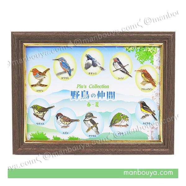 バラ売り不可 鳥 ピンバッジセット 野鳥の会 ツバメ フクロウ アカショウビン 野鳥 ピンバッジ コレクション ピンズ ピンバッヂ 額入り 10種セット